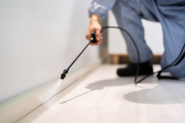 Licensed Mosquito Control service in Callender, CA - Nex Pest Control