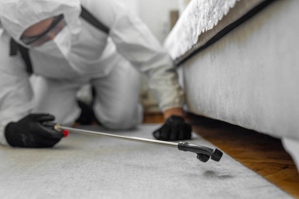 Professional Mosquito Control technician working in Callender, CA