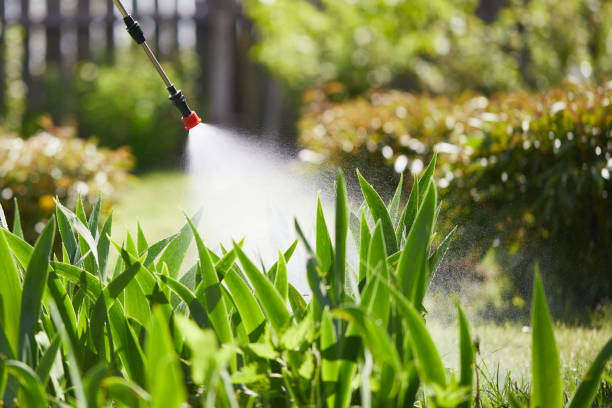 24/7 Emergency Mosquito Control experts in Callender, CA