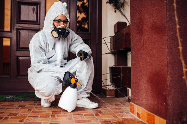Reliable Mosquito Control contractor in Callender, CA by Nex Pest Control